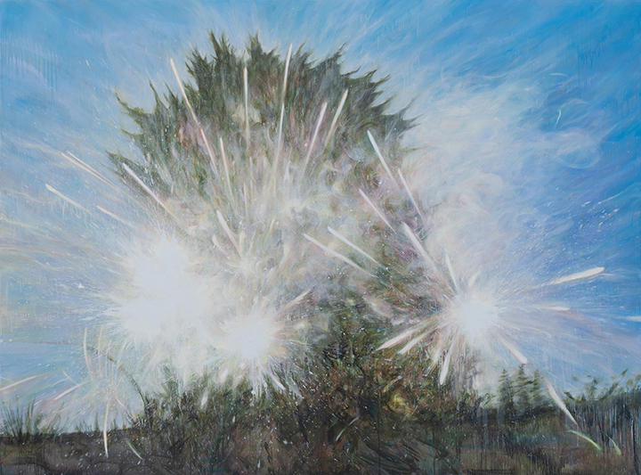 Junmin Shin, LightWalk